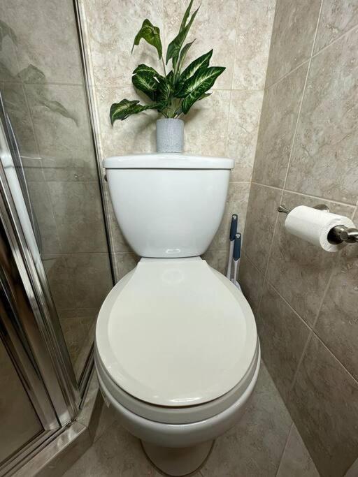 דירות Sleeps 3, Casa Tropical In מיאמי מראה חיצוני תמונה