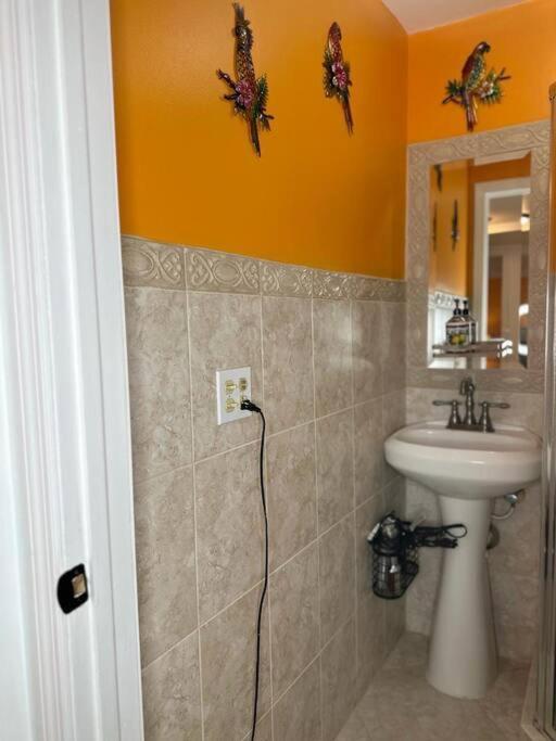 דירות Sleeps 3, Casa Tropical In מיאמי מראה חיצוני תמונה